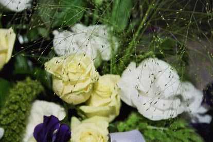 Image2_29