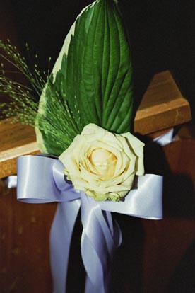 Image2_31