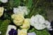 Image2_29