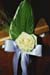 Image2_31