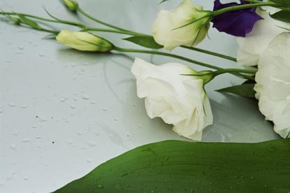 Image4_07