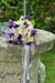 Image4_20