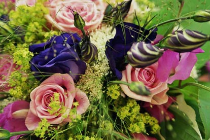 Image1_27