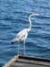 ueberwasser55