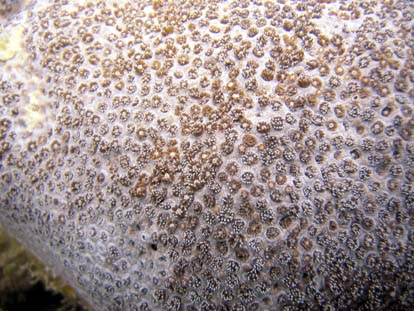 unterwasser11