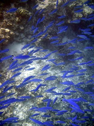 unterwasser15