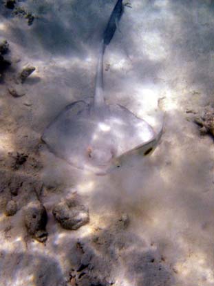 unterwasser23