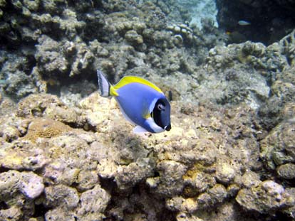 unterwasser37