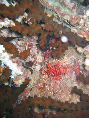 unterwasser59