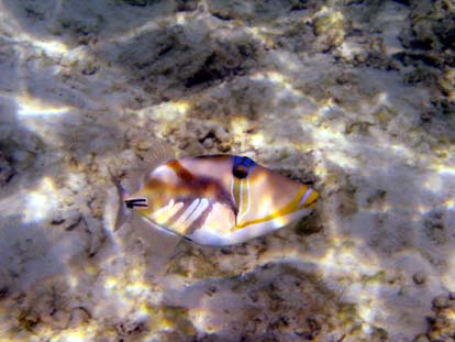unterwasser68