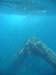 unterwasser02