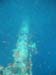unterwasser03