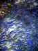 unterwasser15