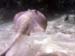 unterwasser25