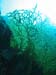 unterwasser40