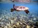 unterwasser43
