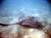 unterwasser49