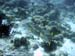 unterwasser64